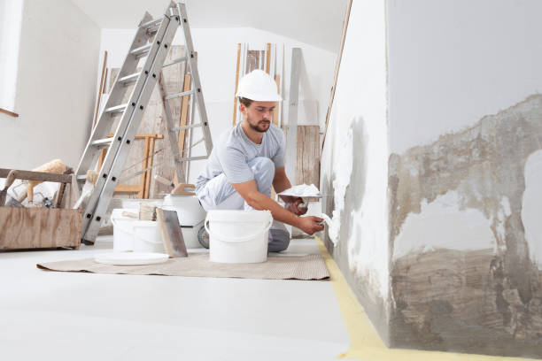 Trusted Midland, WA Mold Removal Experts