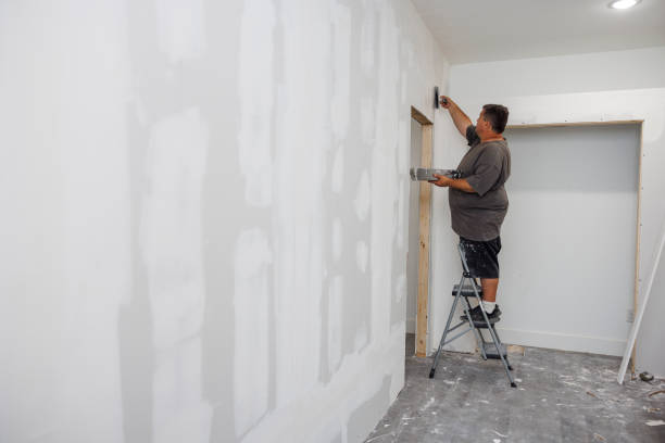  Midland, WA Mold Removal Pros